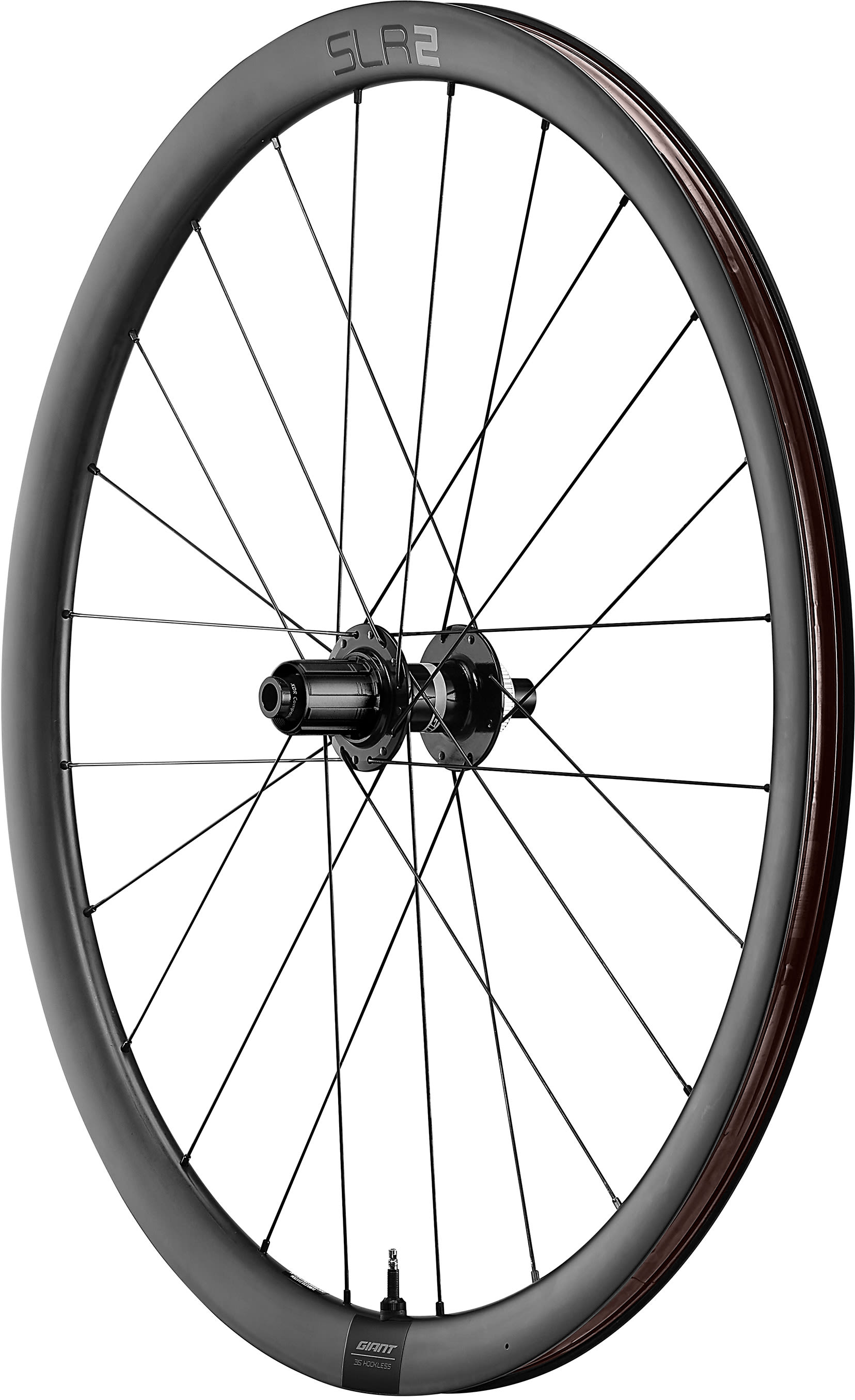 Giant SLR 2 36 Disc Wheelsystem - The Bicycle Chain