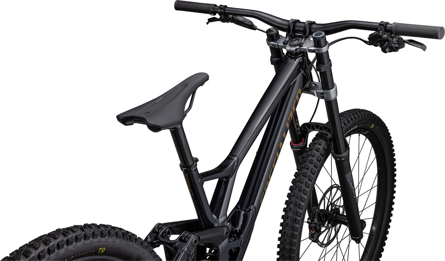 Specialized Demo Expert - The Bicycle Chain