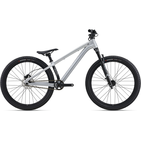Specialized P3 single speed - The Bicycle Chain
