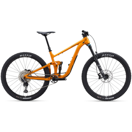 Giant Trance X 2 The Bicycle Chain