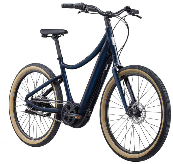 giant momentum vida e 