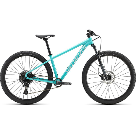 Specialized men's rockhopper expert 2019 2025