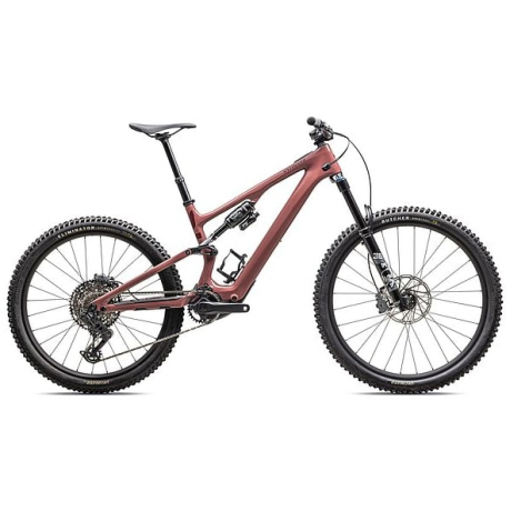 Trek rail vs specialized turbo levo hotsell